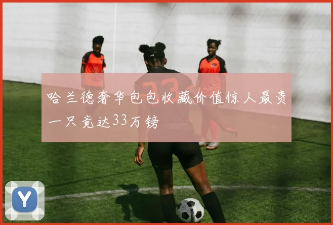 哈兰德奢华包包收藏价值惊人最贵一只竟达33万镑